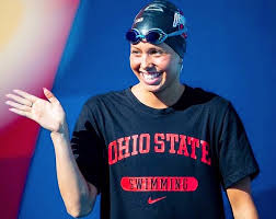 Image result for Felicia mossamedensis