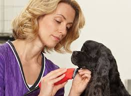 Groom Faster without Rushing