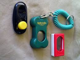 Maybe you would like to learn more about one of these? Clicker Training How Do I Use It To Communicate With My Dog Bark