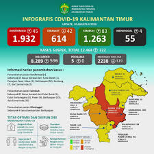Update 10 Agustus 2020 Bertambah 45 Kasus Positif Covid 19 Di Kaltim 84 Kasus Sembuh Inibalikpapan Com