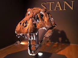 Target.com has been visited by 1m+ users in the past month T Rex Fossil Sells For 32 Million The Most Expensive Ever Auctioned