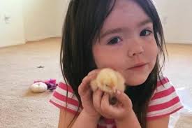 Fundraiser by Jozie's Family : Jozie Flowers Funeral and Memorial