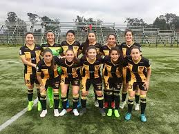 C'est cd arturo fernandez vial qui recoit cd temuco pour ce match chilien du dimanche 24 mars 2019 (resultat copa chile). Inmortales Ante Las Pumas Fernandez Vial Femenino Derroto A Deportes Antofagasta La Pelota Es Mia