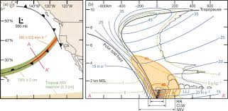 clouds and precipitation in extratropical cyclones