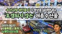 이런걸 드시면 상인들이 싫어합니다.전문가 아닌 ㅈ문가가 말아드리는 맛깔나는 여름 제철 수산물 이야기🤤