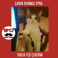 Pin On Biyikonline
