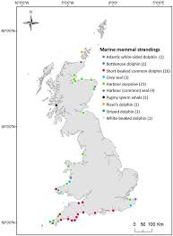 At town & country marine, we're proud to offer some of the top brands in each market segment in the boating industry. Microplastics In Marine Mammals Stranded Around The British Coast Ubiquitous But Transitory Scientific Reports