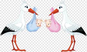 Blockcreeper12 and is about adhesive, animals, artwork, beak, bernardo. Crianca Cegonha E Bebe Frango Outros Infantil Png Pngwing
