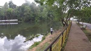 Berwisatatv 1.189 views1 year ago. Puncak Denai Tiga Puteri Kota Damansara Community Forest Youtube