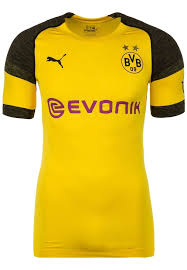 Puma Trikot Borussia Dortmund Authentic Herren Gelb Schwarz Grosse Xxl Borussia Dortmund Fussballtrikot Borussia