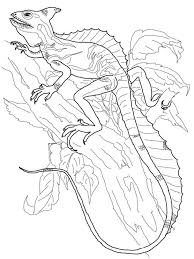 Lizard Coloring Pages Lizards Are Four Legged Scaly Animals That Belong To The Reptile Group Broadl Coloring Pages Animal Coloring Pages Dragon Coloring Page