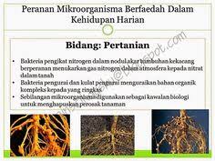 Boleh la refer nota cikgu shu kat sini. 33 Nota Study Ideas Study Notes Study Bab