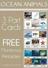 Check spelling or type a new query. Ocean Animals Nomenclature Cards Ocean Theme Preschool Montessori Printables Ocean Animals Preschool