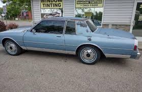 Image result for Brun Erable 1982 Fleet