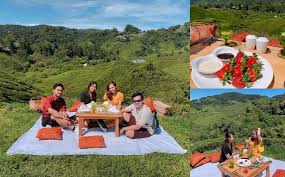 Cameron highlands trip 3 days 2 nights. Piknik Dengan Pemandangan Ladang Teh Ini Tempat Insta Worthy Terbaru Di Cameron Highlands Gempak