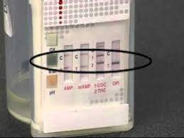 Any indication of a t test line is interpreted as a negative result. Icup Drug Testing Video Youtube