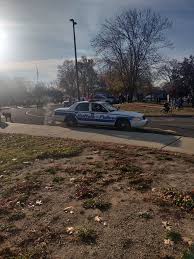 Image result for Brown 2009 Fleet