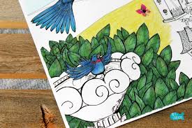 Home Tweet Home Birds Coloring Page For Adults Bird coloring sheets contain parrot, eagle, owl, peacock, pelican, storks, toucan. birds coloring page for adults