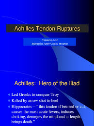 Achilles tendon rupture is when the achilles tendon, at the back of the ankle, breaks. Achilles Tendon Ruptures Dr Yanuarso Tendon Musculoskeletal System