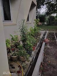 Timbalan ketua pengarah perkhidmatan dbkl, datuk mhd. Bahagian Pengurusan Hartanah Bph Jpm Twitter Analytics Trendsmap