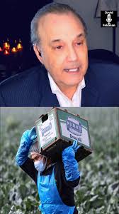 Patricia Lahey Purcell