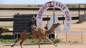 There was never a camel, they didn't travel from afar, it was six miles. Camels And Crowds Make Tracks To Far West Queensland The Land Nsw