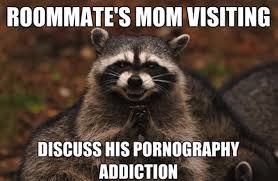See more ideas about trash panda, cute animals, cute raccoon. Evil Plotting Raccoon Know Your Meme