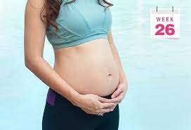 Jun 24, 2021 · at 26 weeks pregnant, your baby is the size of an acorn squash. 26 Weeks Pregnant Symptoms Baby Size Body Changes More