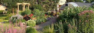 These diy ideas will help you improve the design of everything from patios to paths to planters. Backyard Farmer Nebraska