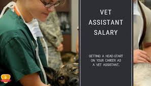 The job outlook growth for vet techs is 20 percent, which is much faster than average, according to the u.s. Veterinary Assistant Salary How Much Does A Vet Assistant Make