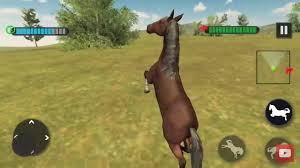 Jocuri cu cai sunt foarte frumoase si amuzante, pline de culoare si veselie, special alese pentru fetitele dornice sa invete lucruri noi despre aceste animale deosebite. Jocul Cu Animale Salbatice Cai Domnul Play Youtube