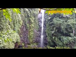 Boasting the location close to jungle aqua park, the venue includes a disco bar and 860 rooms with panor. Kakek Bodo Waterfall Pasuruan Destimap Destinations On Map