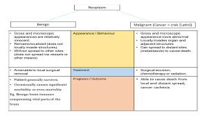 Most breast cancers begin in epithelial cells and form carcinomas. Ii What Define Classify Name Recognise Nus Pathweb Nus Pathweb