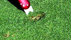 Until a few weeks ago, on this sub, someone posted a video of the proper way to do it. How To Properly Repair A Golf Ball Mark Or Divot On The Green Youtube