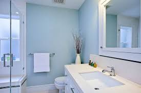 You have to make a lot of. Cekidot Bathroom Ideas Blue