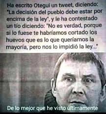 maria jose tomas franco (@mariajosetomasf)