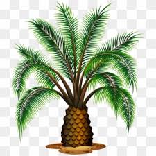 Tree logo with transparent background. Palm Leaves Png Transparent For Free Download Pngfind