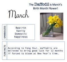 This can be done by. Birth Month Flower In Bloom At Matlack Florist