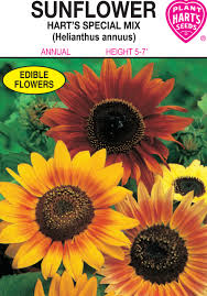 We did not find results for: Hart S Special Mix Sunflower Essex County Co Op
