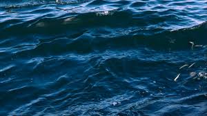 Sea, Sea Level, Small Fish