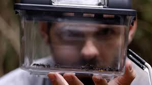 "Kings of Pain" Big Box of Pain (TV Episode 2020)