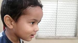 Daniel Bertolini Correia