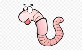 This png image is transparent backgroud and png format. 1lb Red Wiggler Worms Red Wiggler Worm Cartoon Png Worms Png Free Transparent Png Images Pngaaa Com