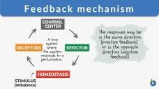 Feedback mechanism - Definition and Examples - Biology Online ...