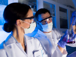 These companies are developing advanced technologies and launching new services to stay competitive in the market. Discover Job Opportunites At Msd Msd Careers