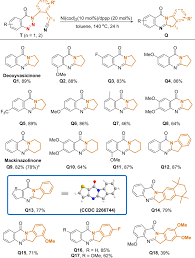 Image result for Anisotes sessiliflorus
