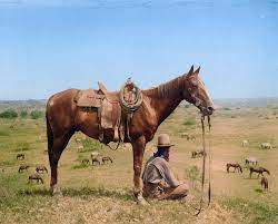 One Of The Last Cowboys Of The Dying Old West Chilling In Texas 1910 Rare Historical Photos