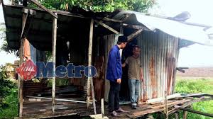 Ukuran kandang kambing yang dibutuhkan untuk usaha ternak kambing modern sangat efisien, karena tidak perlu terlalu besar. Kandang Kambing Itu Rumahku