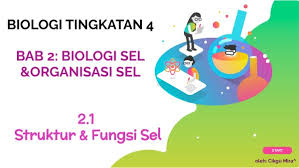 Namun, pada dasarnya setiap keanekaragaman hayati tersebut dapat dibagi menjadi dua bagian yaitu hewan dan tumbuhan. 2 1 Struktur Dan Fungsi Sel By Amirahrasyidahharis10 On Genially