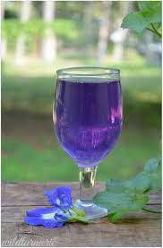 10 Top Health Benefits Of Blue Butterfly Pea Flower Tea Clitoria Ternatea Tea Wildturmeric Butterfly Pea Flower Tea Flower Tea Butterfly Pea Flower
